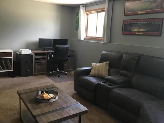 2706 Pleasant Dr, Holmen, WI 54636 - home office with carpet