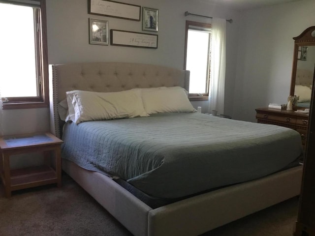 2706 Pleasant Dr, Holmen, WI 54636 - bedroom featuring multiple windows and carpet floors