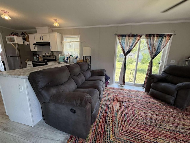 1870 County Road F Unit 44, Friendship, WI 53934 - living area featuring healthy amount of natural light and ornamental molding