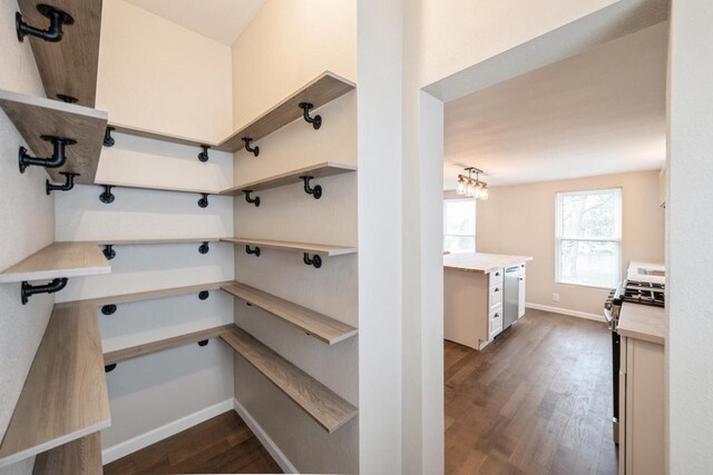 301 Maple Ave, Clinton, WI 53525 - view of pantry