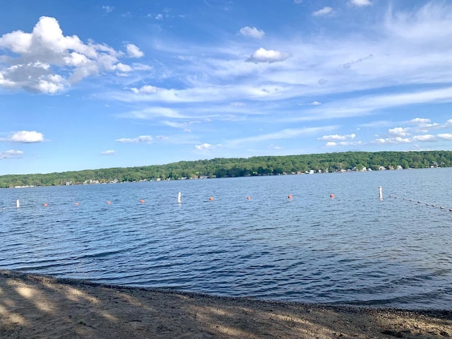 W3794 Beaver Dr, Lake Geneva, WI 53147 - water view featuring a forest