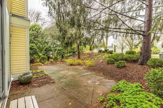 1 Winterberry Trl, Madison, WI 53717 - view of yard with a patio