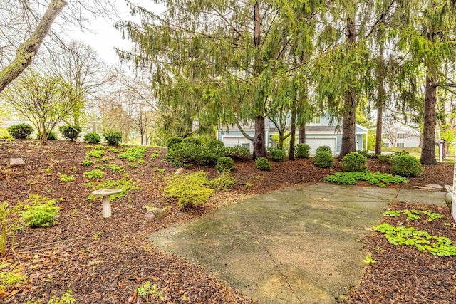 1 Winterberry Trl, Madison, WI 53717 - view of yard