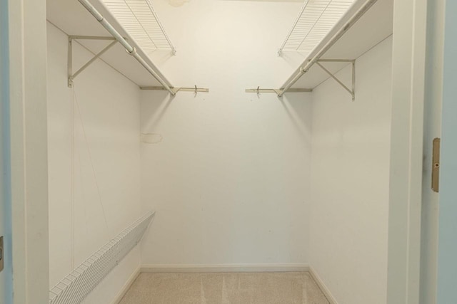 1 Winterberry Trl, Madison, WI 53717 - spacious closet featuring light carpet