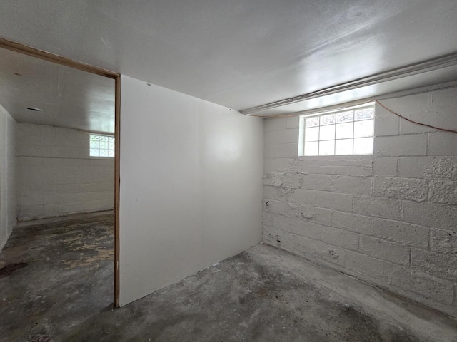 2931 N 58th St, Milwaukee, WI 53210 - view of below grade area