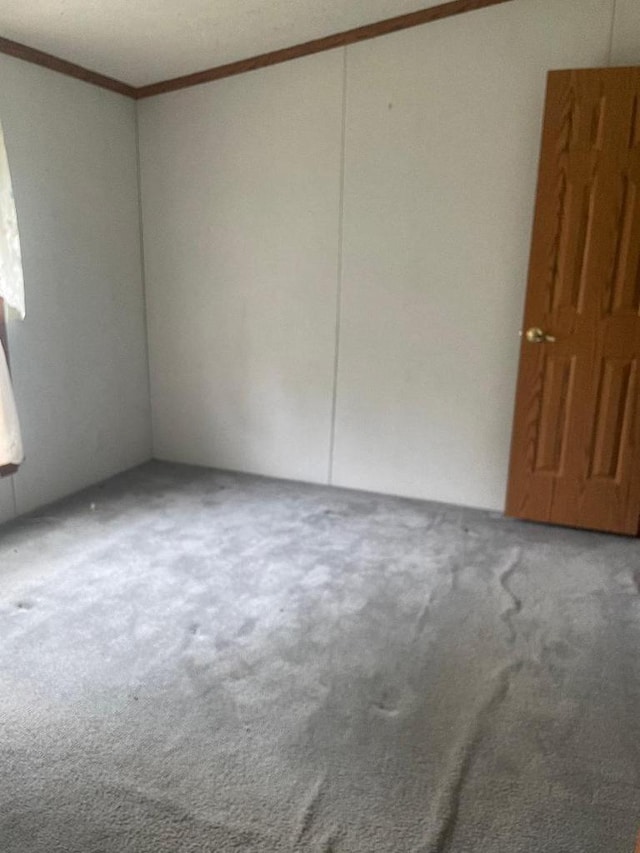 2942 Brentwood Dr, Grand Marsh, WI 53936 - carpeted spare room with crown molding