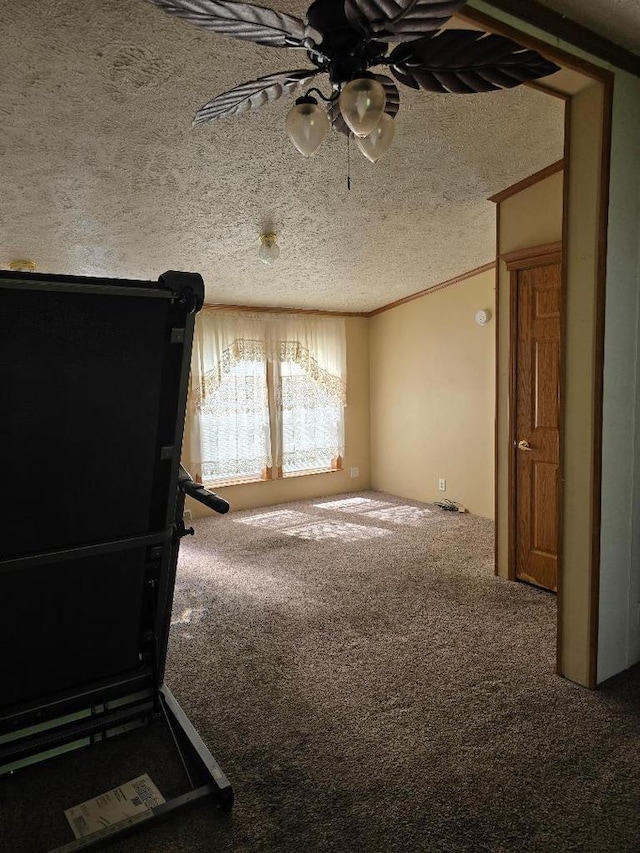 2942 Brentwood Dr, Grand Marsh, WI 53936 - unfurnished room with carpet, ceiling fan, crown molding, and a textured ceiling