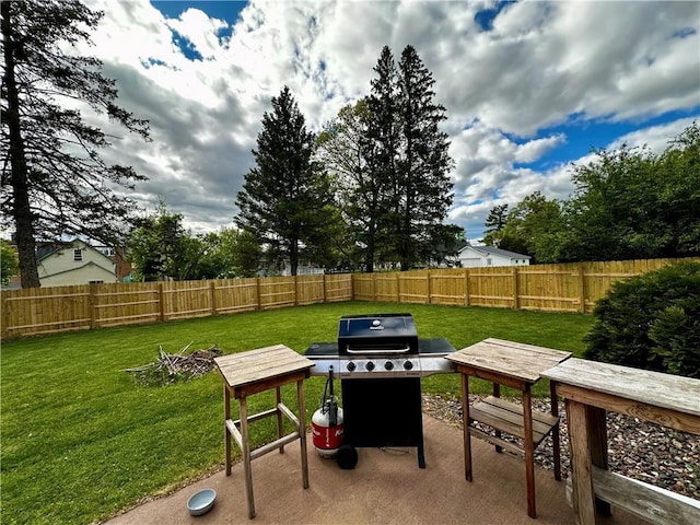 1019 2nd St, Bruce, WI 54819 - view of yard featuring a patio area