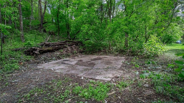 2572 90th St, Eau Claire, WI 54703 - view of yard featuring a view of trees and a patio