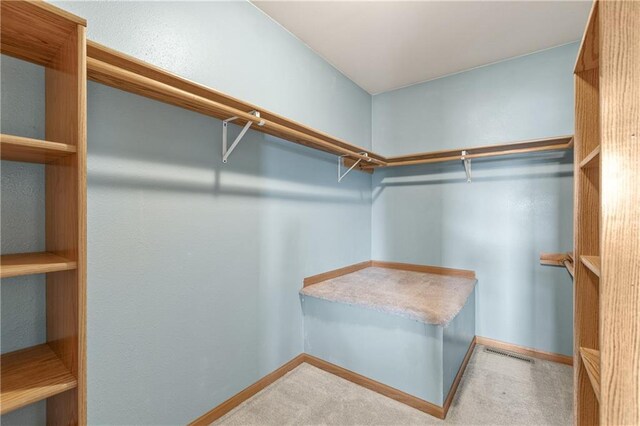 11684 44th Ave, Chippewa Falls, WI 54729 - walk in closet featuring carpet