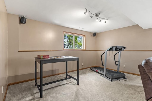 11684 44th Ave, Chippewa Falls, WI 54729 - exercise area with carpet, baseboards, and track lighting