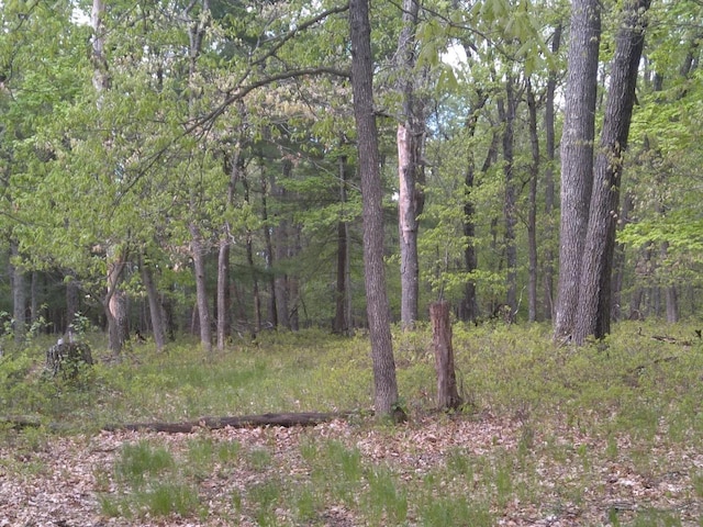1552 Alpine Dr, Nekoosa, WI 54457