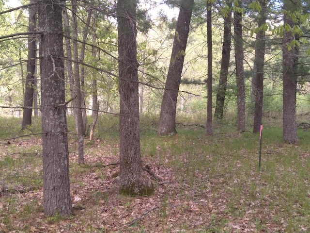 1552 Alpine Dr, Nekoosa, WI 54457