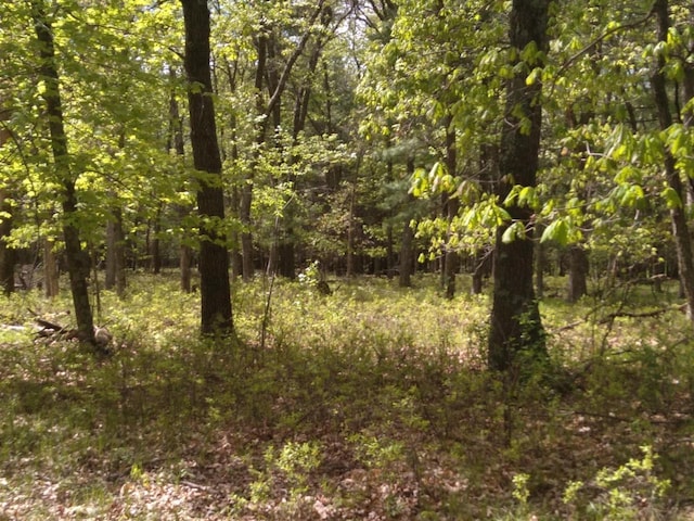 1552 Alpine Dr, Nekoosa, WI 54457
