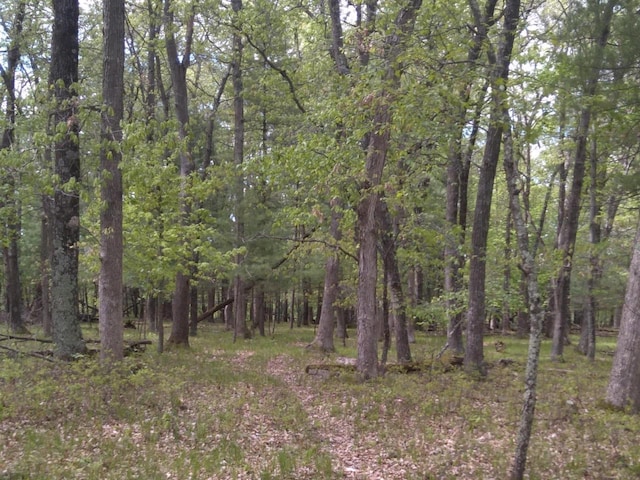 1552 Alpine Dr, Nekoosa, WI 54457