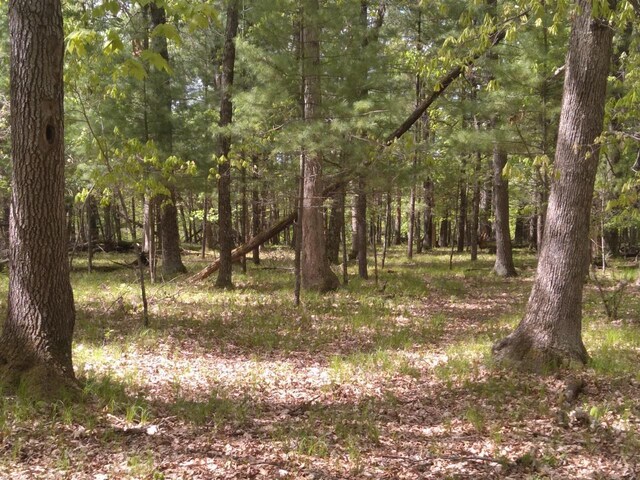 1552 Alpine Dr, Nekoosa, WI 54457