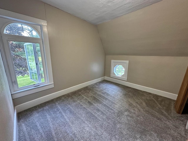 N2224 Wafle Rd, Mauston, WI 53948 - additional living space with vaulted ceiling, baseboards, carpet, and a textured ceiling