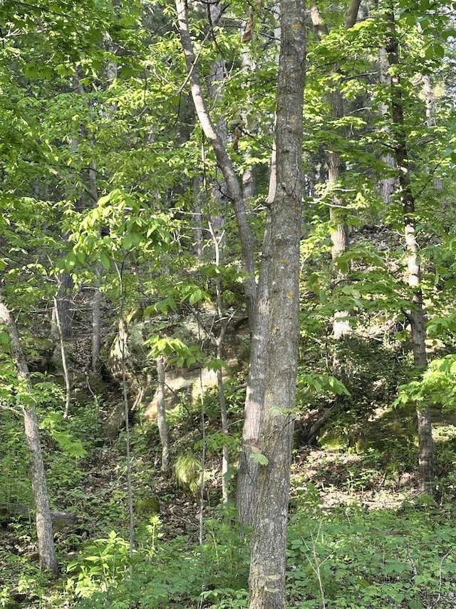 N2224 Wafle Rd, Mauston, WI 53948 - view of woods