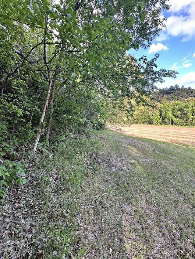 N2224 Wafle Rd, Mauston, WI 53948 - view of yard featuring a wooded view