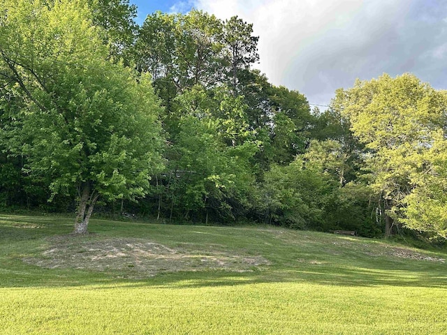 N2224 Wafle Rd, Mauston, WI 53948 - view of green lawn