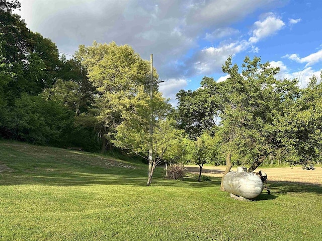 N2224 Wafle Rd, Mauston, WI 53948 - view of grassy yard