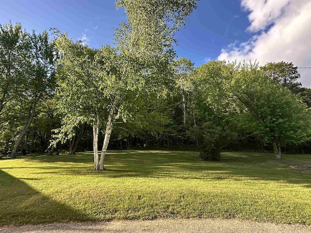 N2224 Wafle Rd, Mauston, WI 53948 - view of grassy yard