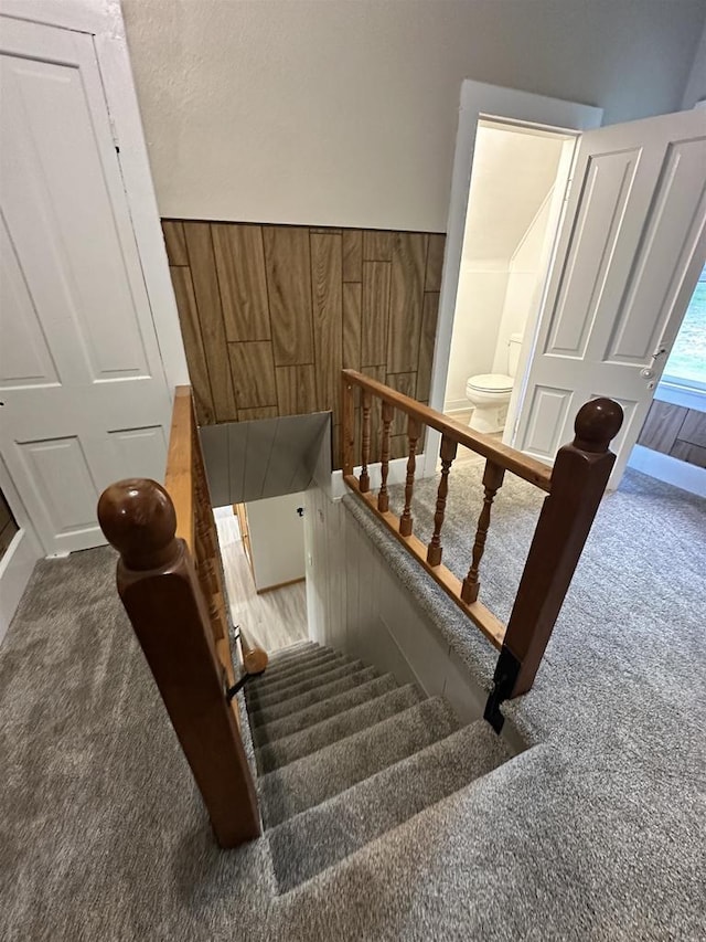 N2224 Wafle Rd, Mauston, WI 53948 - stairway featuring carpet floors