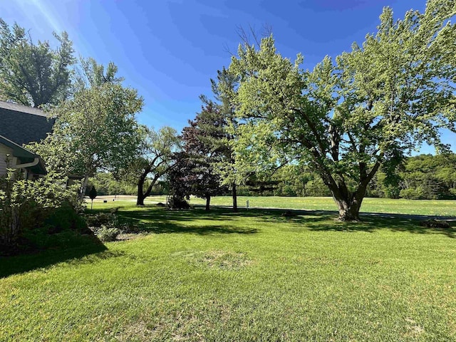 N2224 Wafle Rd, Mauston, WI 53948 - view of grassy yard
