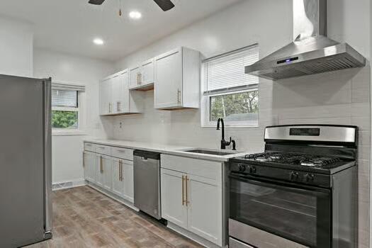 1107 Perry Ave, Racine, WI 53406 - kitchen featuring stainless steel appliances, wall chimney exhaust hood, a sink, a ceiling fan, and light wood-style floors
