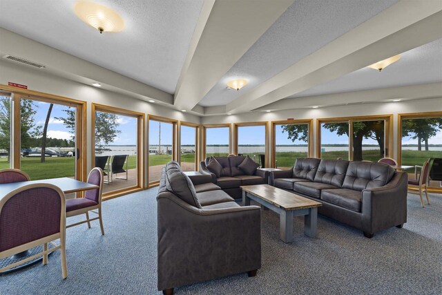 W5204 N Osprey Dr, New Lisbon, WI 53950 - carpeted living room with plenty of natural light