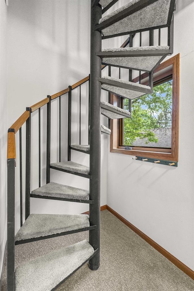 W5204 N Osprey Dr, New Lisbon, WI 53950 - stairs with carpet and baseboards