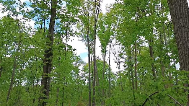 NORTH10 150th St, Frederic, WI 54837