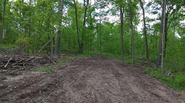 NORTH10 150th St, Frederic, WI 54837