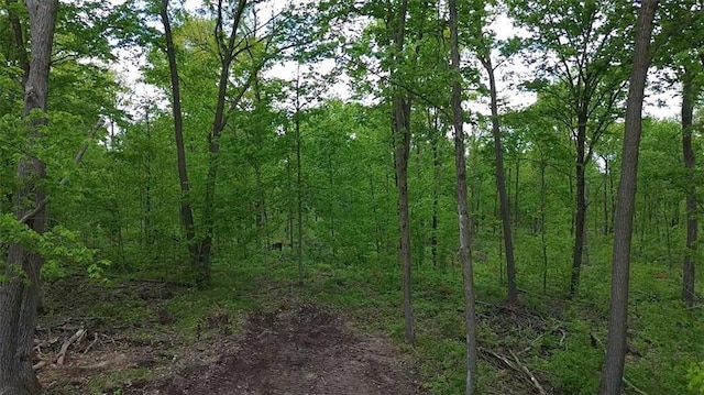 NORTH10 150th St, Frederic, WI 54837