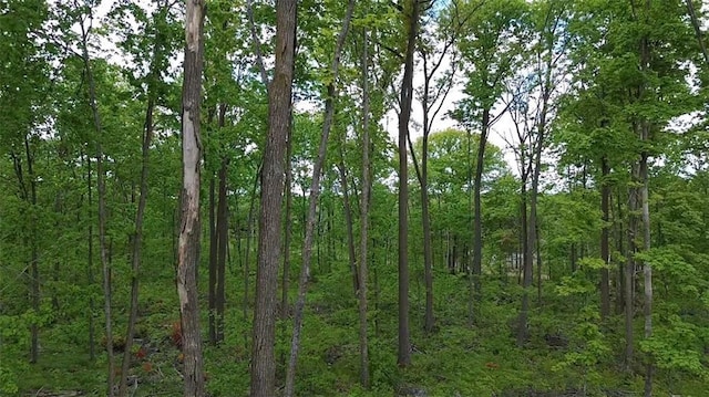 NORTH10 150th St, Frederic, WI 54837