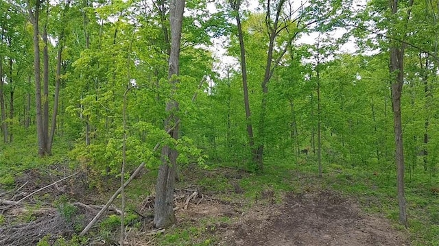 NORTH10 150th St, Frederic, WI 54837