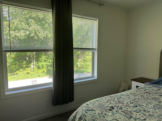 32793 Fulton St, Gotham, WI 53540 - bedroom with multiple windows and ornamental molding