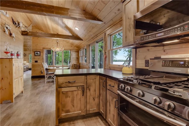 14856W Valhalla Dr, Hayward, WI 54843 - kitchen with appliances with stainless steel finishes, wooden walls, a chandelier, wooden ceiling, and light wood-style floors