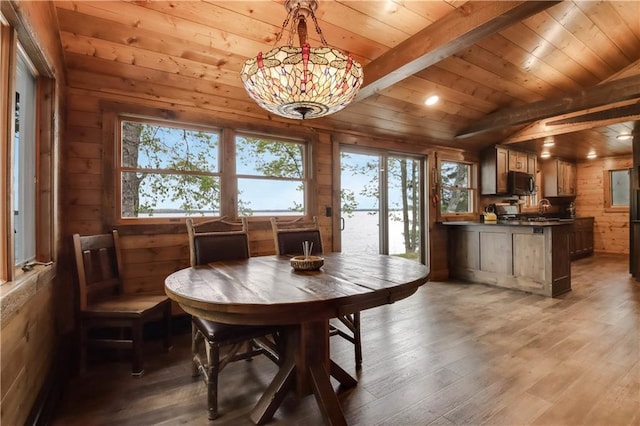 14856W Valhalla Dr, Hayward, WI 54843 - dining room with wood walls, healthy amount of natural light, wood ceiling, and wood finished floors