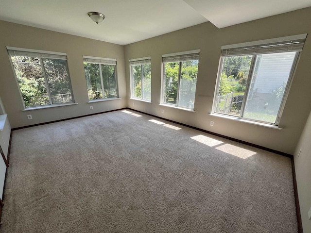 425 Mineau Pkwy, Madison, WI 53711 - spare room featuring healthy amount of natural light, baseboards, and carpet
