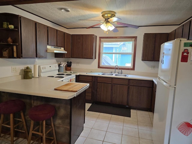 Pine Ln, Bloomington, WI 53804 - kitchen featuring white appliances, a sink, under cabinet range hood, a peninsula, and light tile patterned flooring