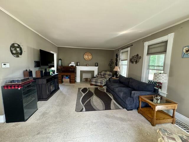 219 E 9th St, Fond Du Lac, WI 54935 - carpeted living room with a fireplace, ornamental molding, and baseboards