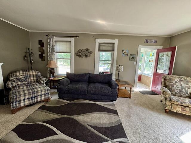 219 E 9th St, Fond Du Lac, WI 54935 - carpeted living room with crown molding