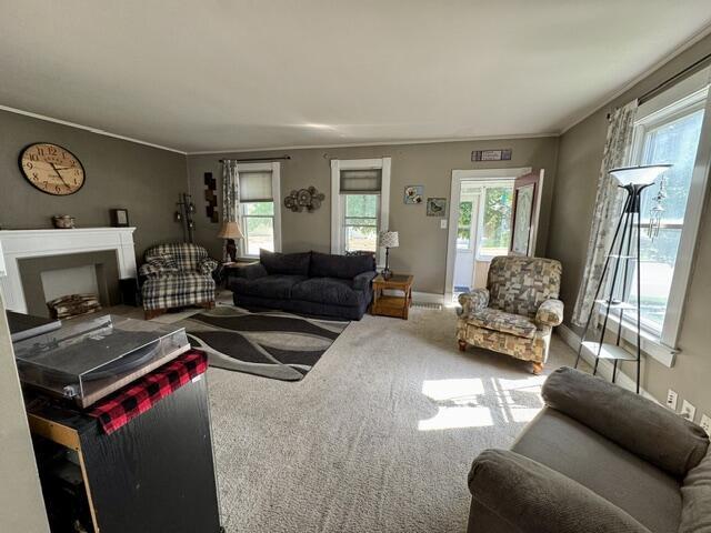 219 E 9th St, Fond Du Lac, WI 54935 - living room featuring healthy amount of natural light, carpet flooring, ornamental molding, and a fireplace