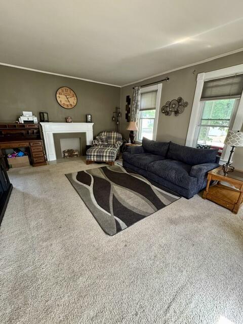 219 E 9th St, Fond Du Lac, WI 54935 - carpeted living area with healthy amount of natural light, a fireplace, and crown molding
