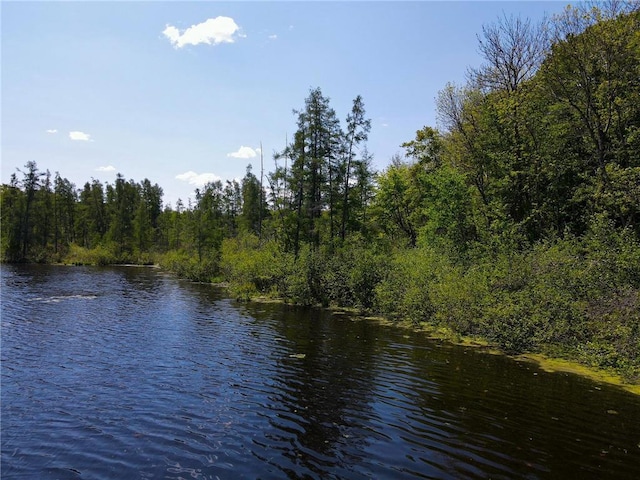 N2174 Pondell Ln, Bruce, WI 54819