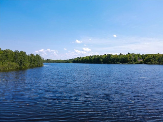 N2174 Pondell Ln, Bruce, WI 54819