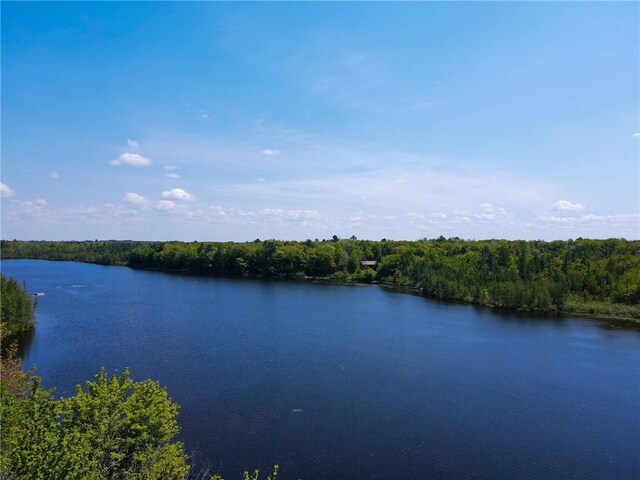 N2174 Pondell Ln, Bruce, WI 54819