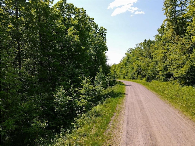 N2174 Pondell Ln, Bruce, WI 54819