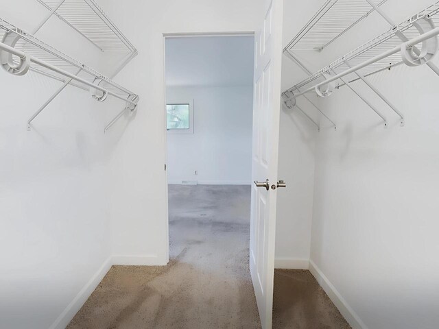 4211 State Highway 173, Nekoosa, WI 54457 - spacious closet with carpet floors